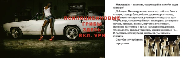 мескалин Богородицк