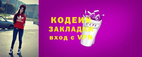 индика Богородск