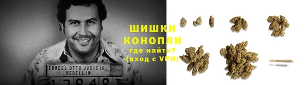 мескалин Богородицк