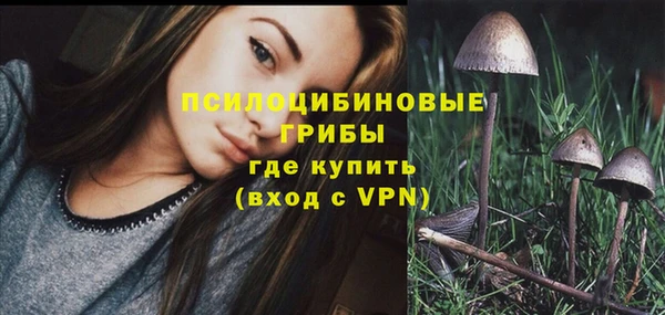 индика Богородск