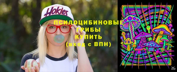 таблы Бородино