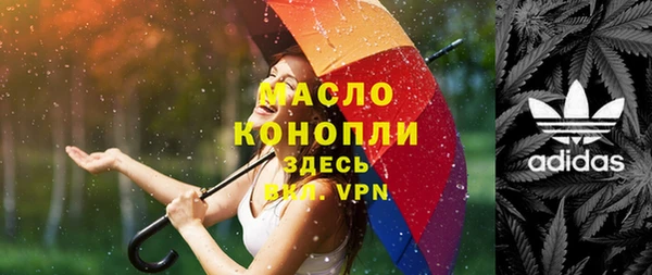 таблы Бородино