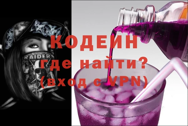 индика Богородск