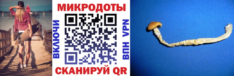 Галлюциногенные грибы Magic Shrooms  Козьмодемьянск 